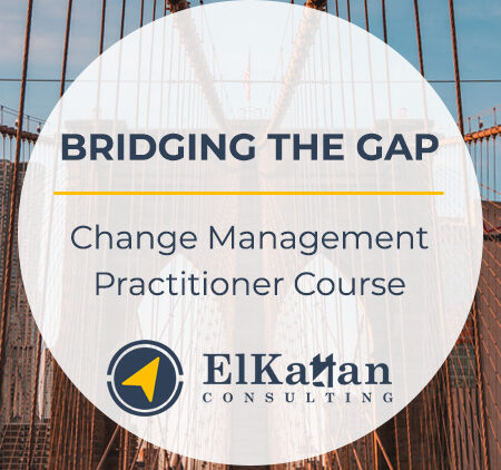 BRIDGING THE GAP: Change Management Foundation & Practitioner Course