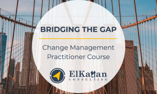 BRIDGING THE GAP: Change Management Foundation & Practitioner Course